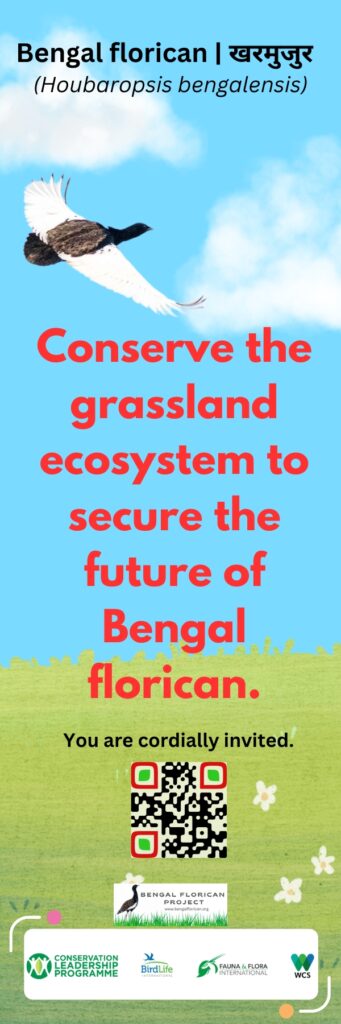 Bengal Florican Project 